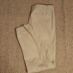 True Craft Tan Chinos